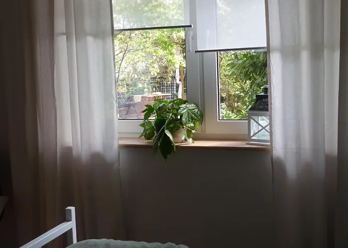 Moselkind Apartman *